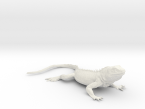Printle Animal Lizard 03 - 1/24 in White Natural Versatile Plastic