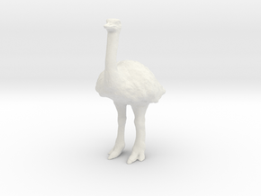 Printle Animal Ostrich - 1/24 in White Natural Versatile Plastic