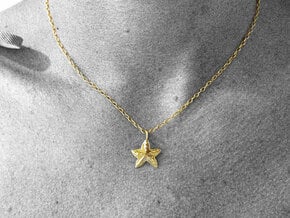 Sea Star Pendant in Polished Brass