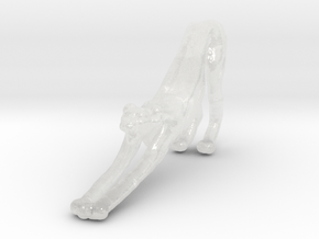 Cheetah 1:100 Stretching Male in Clear Ultra Fine Detail Plastic