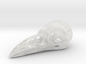 Raven skull in Clear Ultra Fine Detail Plastic: Medium