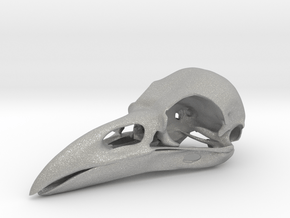 Raven skull in Aluminum: Medium