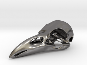 Raven skull in Processed Stainless Steel 17-4PH (BJT): Medium