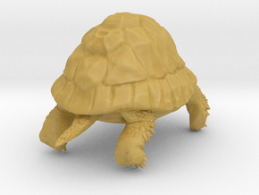 Tortoise in Clear Ultra Fine Detail Plastic: Extra Small