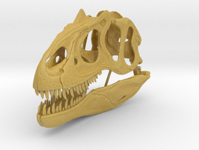 Allosaurus - dinosaur skull replica in Tan Fine Detail Plastic: 1:12