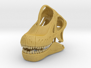 Giraffatitan - dinosaur skull replica in Tan Fine Detail Plastic: 1:16