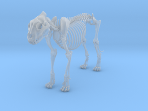 Lion Skeleton Sculpture in Clear Ultra Fine Detail Plastic