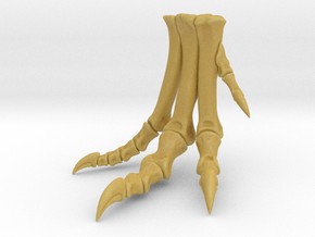 Allosaurus foot - right side, dinosaur model in Tan Fine Detail Plastic: 1:8