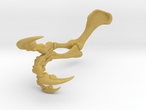 Allosaurus arm, right side dinosaur model in Tan Fine Detail Plastic: 1:8