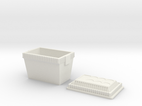 Styrofoam cooler in White Natural Versatile Plastic