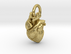 Anatomical Heart Necklace in Natural Brass