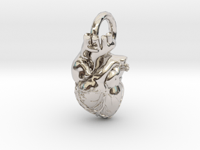 Anatomical Heart Necklace in Platinum