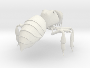 Articulated Honey bee in White Natural Versatile Plastic