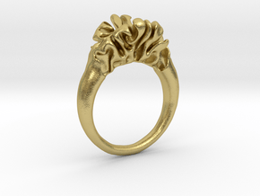 Differential Growth Ring size 58 in Natural Brass