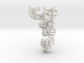 tRNA-Phe small in Basic Nylon Plastic