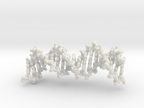 Long DNA - monomer binding in Basic Nylon Plastic
