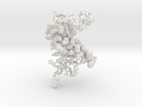 Lipoprotein signal peptidase II in Basic Nylon Plastic