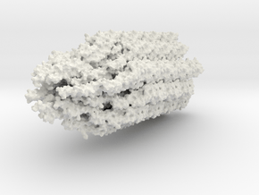 Flagella Base Model in Basic Nylon Plastic