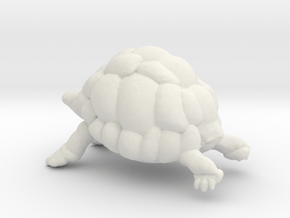 Printle Animal Turtle - 1/24 in Basic Nylon Plastic