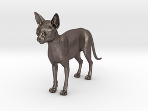 Sphinx Cat  in Polished Bronzed-Silver Steel