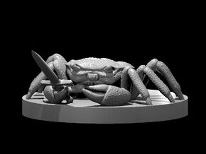 Crab with a Knife in Clear Ultra Fine Detail Plastic