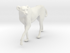 Cheetah 1:43 Walking Female 3 in White Natural Versatile Plastic