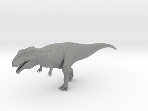 Giganotosaurus 1/100 in Gray PA12
