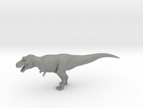 Tyrannosaurus rex 1/100 in Gray PA12