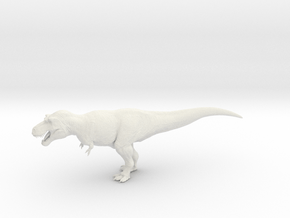 Tyrannosaurus rex 1/100 in PA11 (SLS)