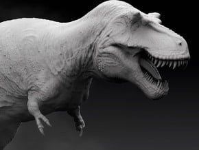 Tyrannosaurus rex 1/100 in White Natural Versatile Plastic