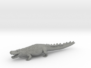 Purussaurus 1/100 in Gray PA12