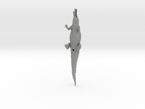 Sarchosuchus 1/100 in Gray PA12