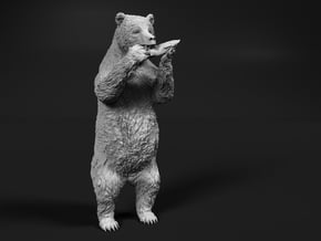 Grizzly Bear 1:35 Upright Male with Salmon in Tan Fine Detail Plastic
