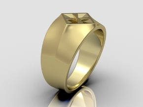 Attract Signet Ring in 9K Yellow Gold : 10 / 61.5