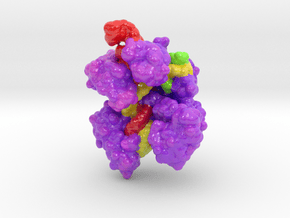 mdm_CRISPR-Cas9-5AXW_max_x100-8cm_vA21 in Smooth Full Color Nylon 12 (MJF): Extra Small
