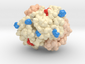 Glycated Hemoglobin 1B75 in Smooth Full Color Nylon 12 (MJF): Extra Small