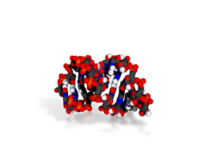 RNA helix - polynucleotide molecule in Basic Nylon Plastic
