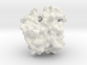 Human Hemoglobin Monomer - Oxy State - Surface in White Natural Versatile Plastic