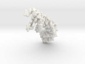DNA - Lac Repressor Binding Site - all atom in White Natural Versatile Plastic