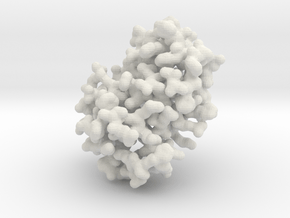 Human Hemoglobin - Monomer, all atom in White Natural Versatile Plastic
