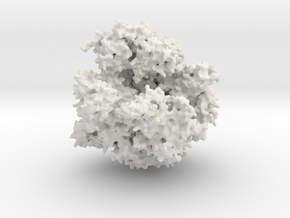 RNA Polymerase - Surface Render in White Natural Versatile Plastic
