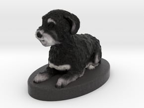 Custom Dog Figurine - Zoey in Full Color Sandstone