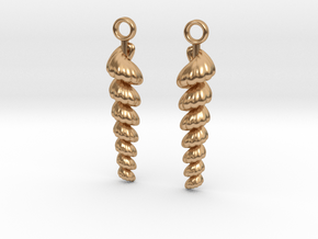 shelly earrings in Polished Bronze