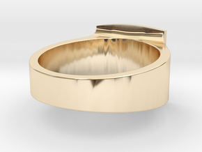 Contemporary signet band All sizes, Multisize in 14k Gold Plated Brass: 11.5 / 65.25