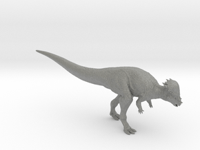 Pachycephlosaurus in Gray PA12