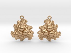  earrings in Polished Bronze