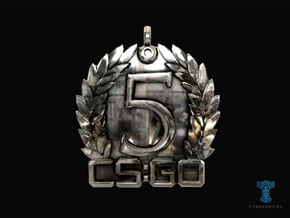 CS:GO - 5 Year Medallion in Antique Silver