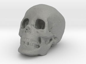 skull in Gray PA12