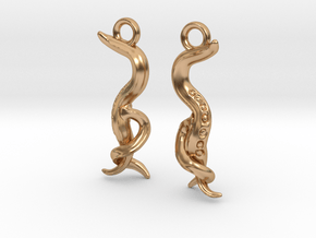 C. elegans Nematode Worm Earrings in Polished Bronze