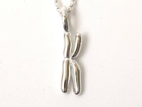 Chromosome Pendant - Science Jewelry in Polished Silver